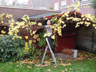 Zo, even de tuin winterklaar maken hoor